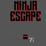 Ninja escape