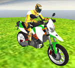 Stunt Biker 3D